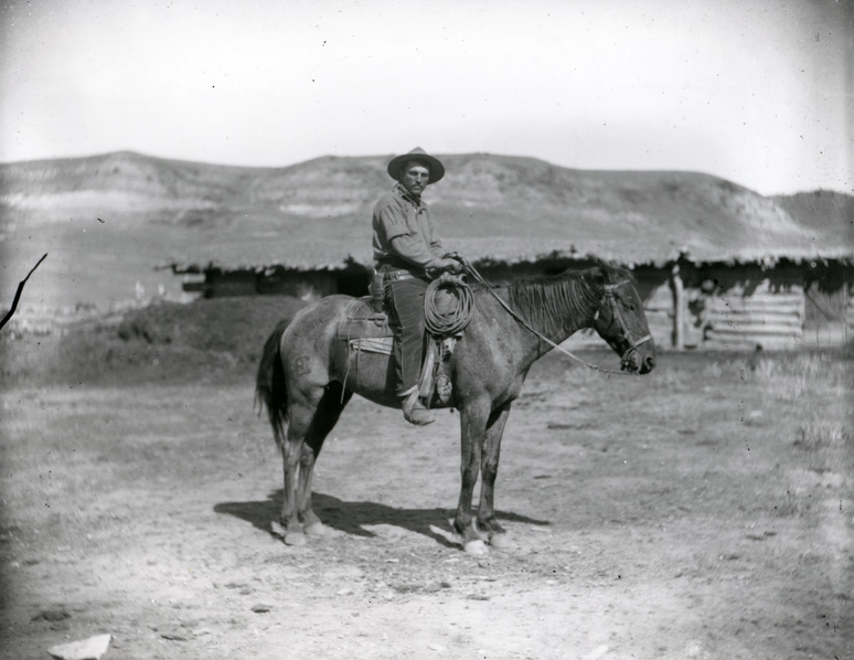 Art At Noon: Ecologies of Photography in the American West