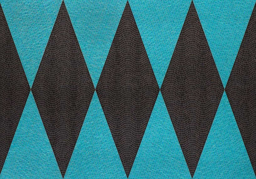 Artist Talk with Dyani White Hawk