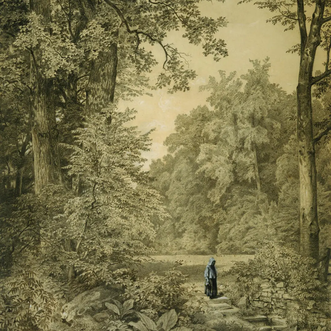 Neighborhood Walking Tour: Nature & Landscape