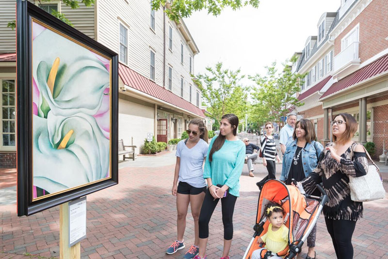 Neighborhood Walking Tour: Nature & Landscape